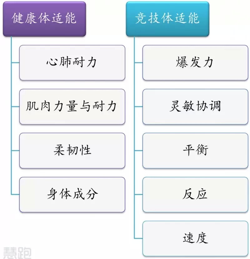 业余爱好者如何在有限时间内提升篮球优势_0